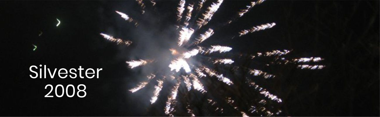 Silvester 2008a